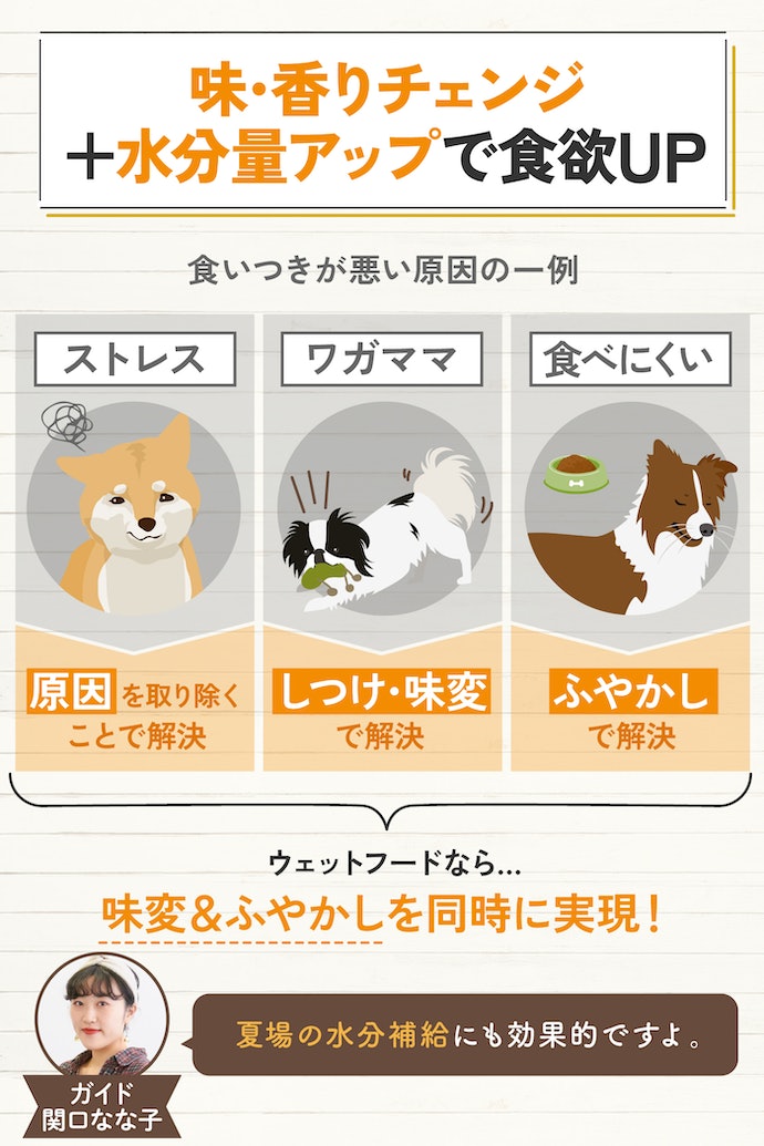 食いつきが悪い犬には、ウェットフードも活用しよう